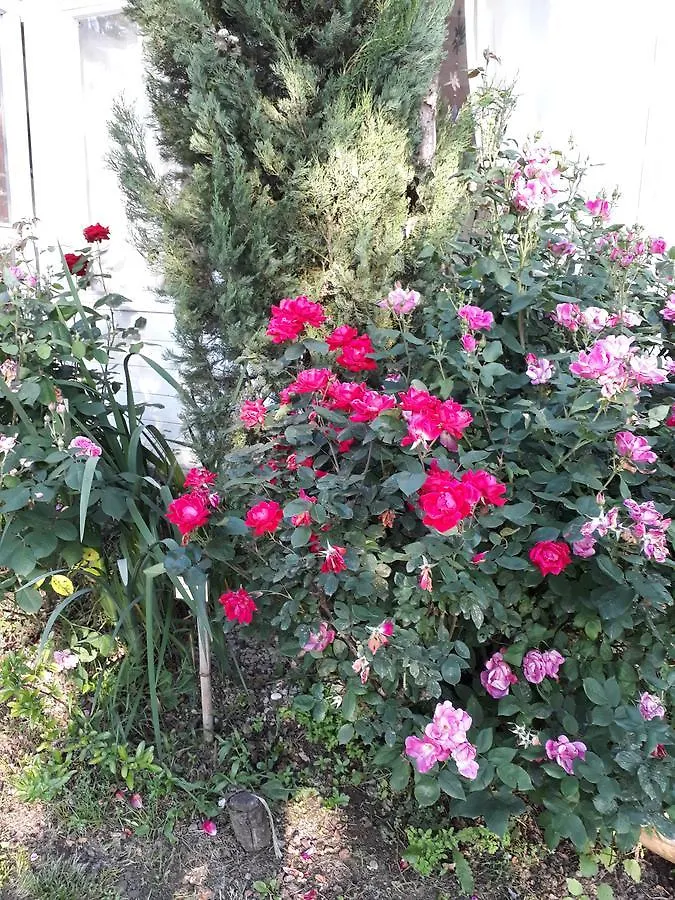 B&B Il Fienile Di Scarperia Bed & Breakfast